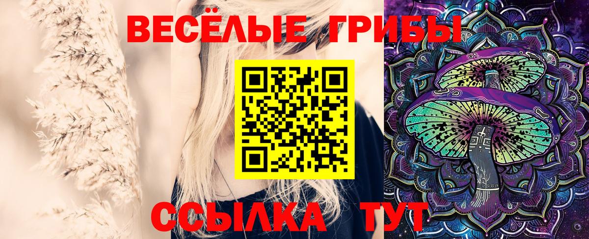 Галлюциногенные грибы мухоморы  Псилоцибиновые грибы Cubensis  Вход с VPN  Новозыбков 