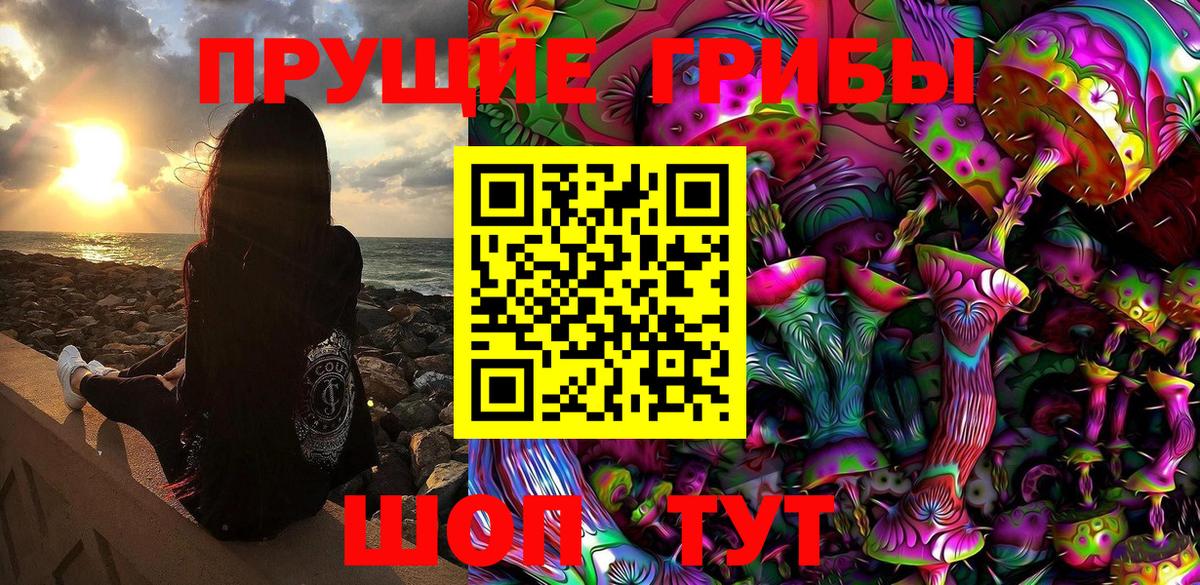 Псилоцибиновые грибы ЛСД Новозыбков